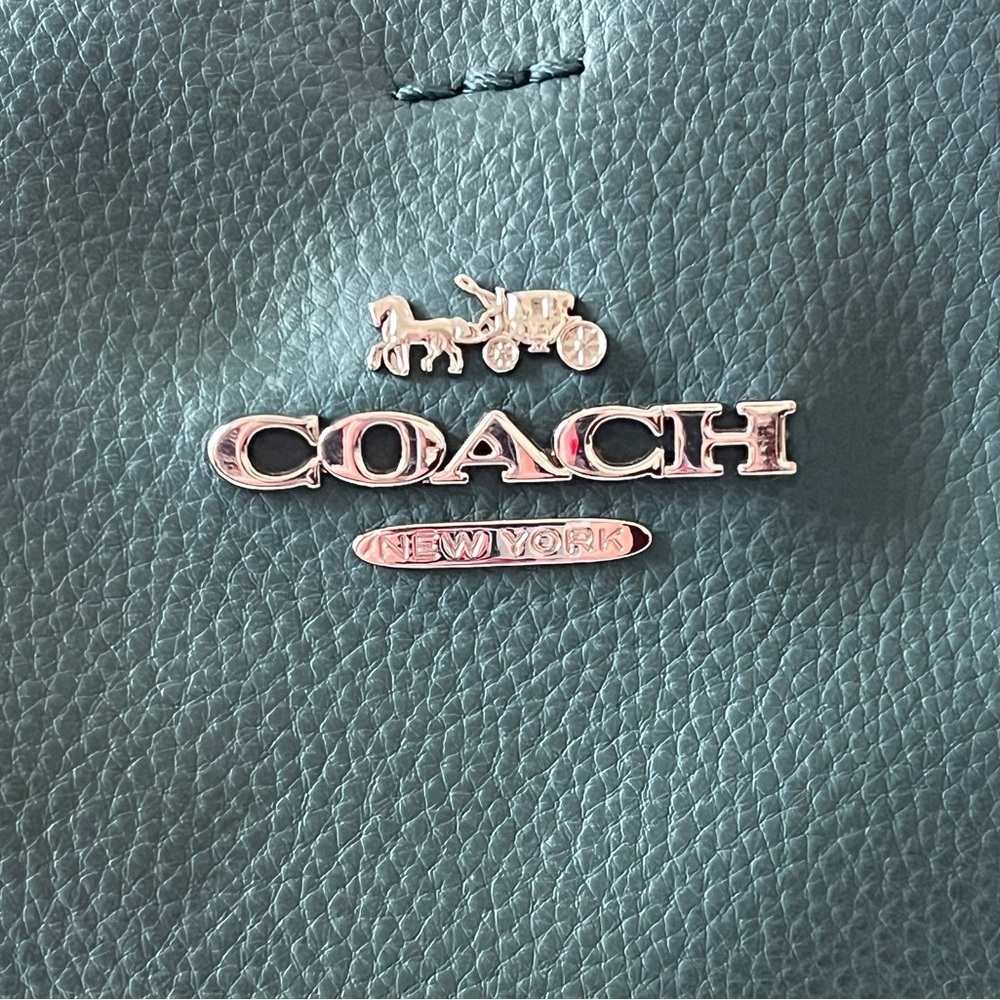 Coach Classic Avenue Cary-all Bag Dark Turquoise Green Snakeskin Embossed Straps - Picture 9 of 13